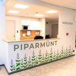 Watercolor-style wall vinyl decal of a peppermint (piparmünt) herb border with green mint leaves and small purple flowers arranged in a long row.