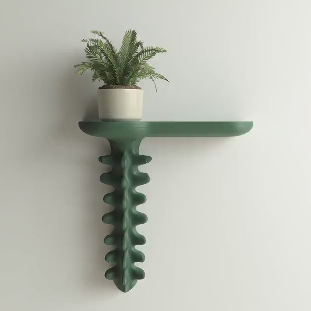 3D Printed Organic Wall Shelf | Sculptural Floating Ledge with Growth Form | Modern Biophilic Decor for Minimalist and Artistic Interiors