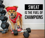 Dog in workout gear with weights and motivational quote 'Sweat is the fuel of champions'